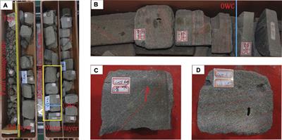 Deformation Bands and Associated FIP Characteristics From High-Porous Triassic Reservoirs in the Tarim Basin, NW China: A Multiscale Analysis